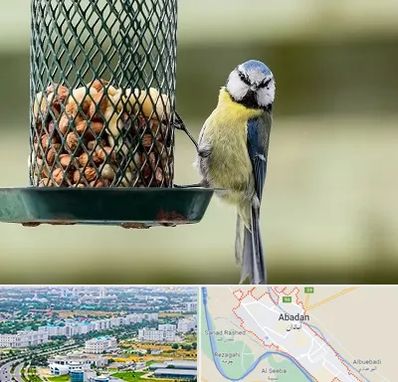 فروشگاه غذای پرندگان در آبادان