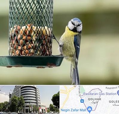 فروشگاه غذای پرندگان در قلهک