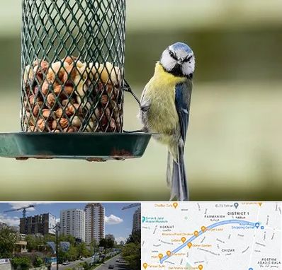 فروشگاه غذای پرندگان در اندرزگو