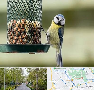 فروشگاه غذای پرندگان در قدوسی غربی شیراز