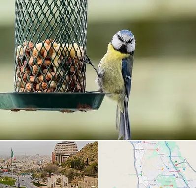 فروشگاه غذای پرندگان در فرهنگ شهر شیراز