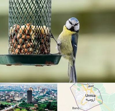 فروشگاه غذای پرندگان در ارومیه