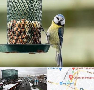 فروشگاه غذای پرندگان در اقدسیه