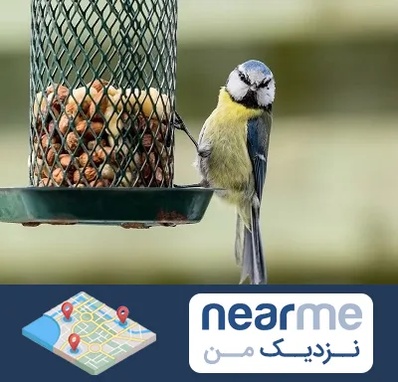 فروشگاه غذای پرندگان در نزدیک من