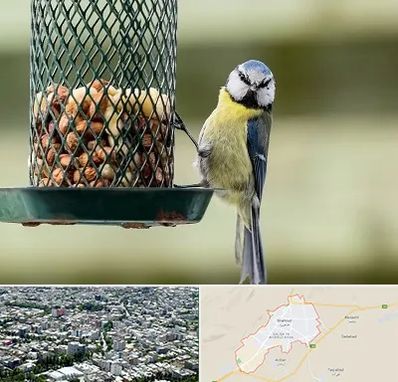 فروشگاه غذای پرندگان در شاهرود