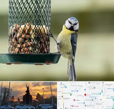 فروشگاه غذای پرندگان در میدان حر