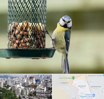 فروشگاه غذای پرندگان در ولنجک
