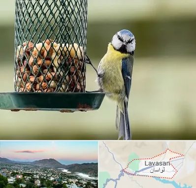 فروشگاه غذای پرندگان در لواسان