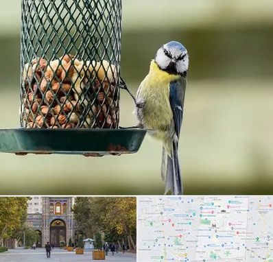 فروشگاه غذای پرندگان در منطقه 12 تهران