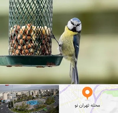 فروشگاه غذای پرندگان در تهران نو