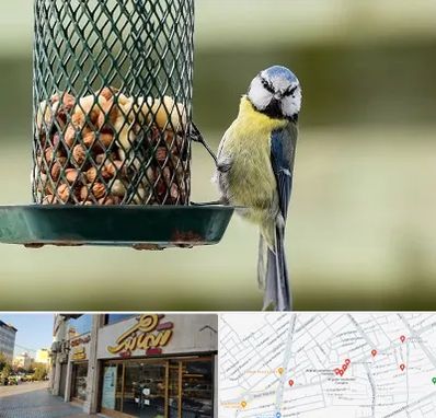 فروشگاه غذای پرندگان در عطاران قم