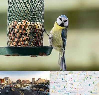 فروشگاه غذای پرندگان در منطقه 7 تهران