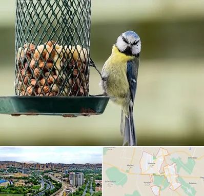 فروشگاه غذای پرندگان در شهریار