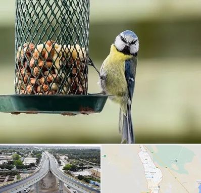 فروشگاه غذای پرندگان در اندیمشک