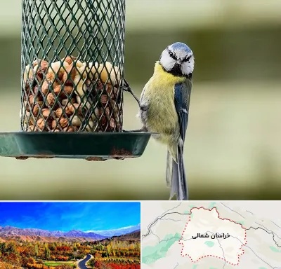 فروشگاه غذای پرندگان در خراسان شمالی