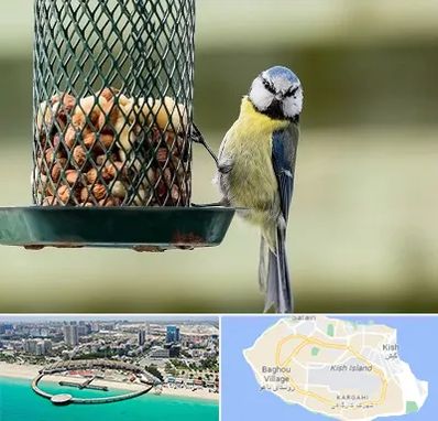 فروشگاه غذای پرندگان در کیش
