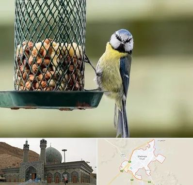 فروشگاه غذای پرندگان در شهرضا