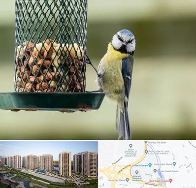 فروشگاه غذای پرندگان در المپیک