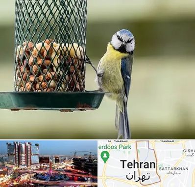 فروشگاه غذای پرندگان در صادقیه