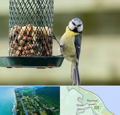 فروشگاه غذای پرندگان در رامسر