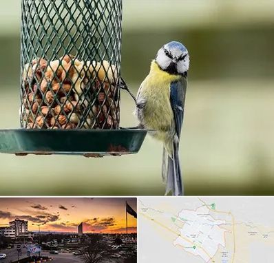 فروشگاه غذای پرندگان در قوچان