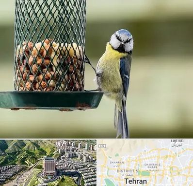 فروشگاه غذای پرندگان در شمال تهران