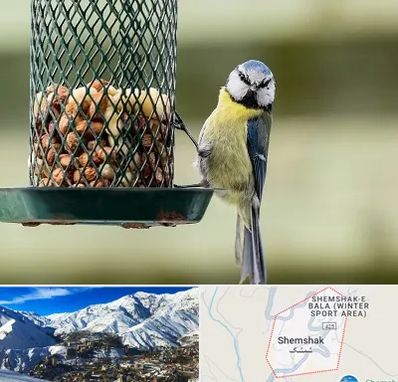 فروشگاه غذای پرندگان در شمشک