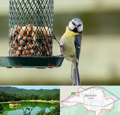 فروشگاه غذای پرندگان در بهشهر