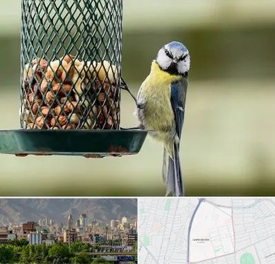 فروشگاه غذای پرندگان در جمشیدیه