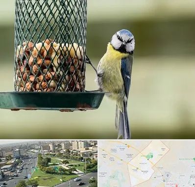 فروشگاه غذای پرندگان در کمال شهر کرج