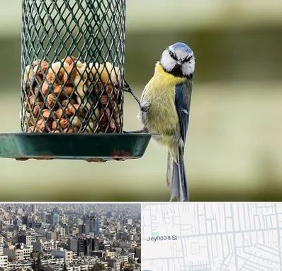 فروشگاه غذای پرندگان در جیحون