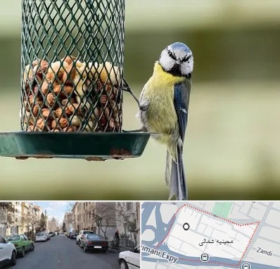 فروشگاه غذای پرندگان در مجیدیه شمالی
