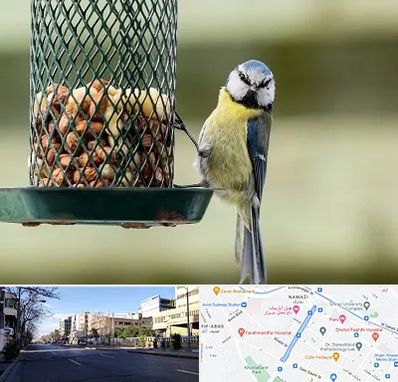 فروشگاه غذای پرندگان در خیابان ملاصدرا شیراز