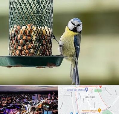 فروشگاه غذای پرندگان در گلسار رشت