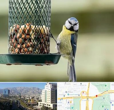 فروشگاه غذای پرندگان در حقانی