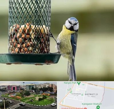 فروشگاه غذای پرندگان در تهرانسر