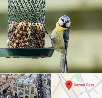 فروشگاه غذای پرندگان در بازار رضا مشهد