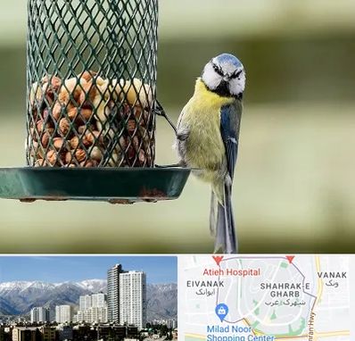 فروشگاه غذای پرندگان در شهرک غرب