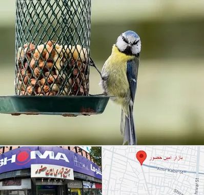 فروشگاه غذای پرندگان در امین حضور