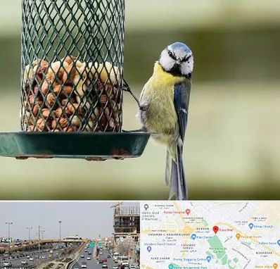 فروشگاه غذای پرندگان در بلوار توس مشهد