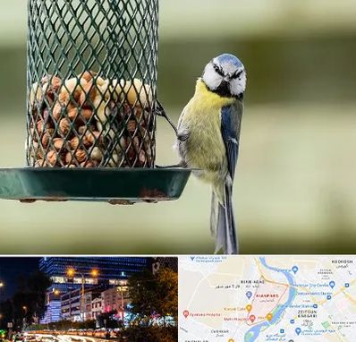 فروشگاه غذای پرندگان در کیانپارس اهواز