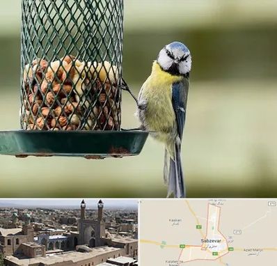 فروشگاه غذای پرندگان در سبزوار