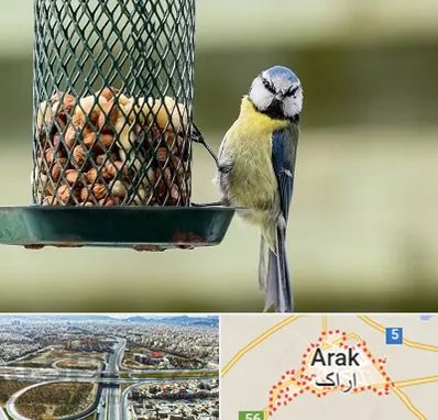 فروشگاه غذای پرندگان در اراک