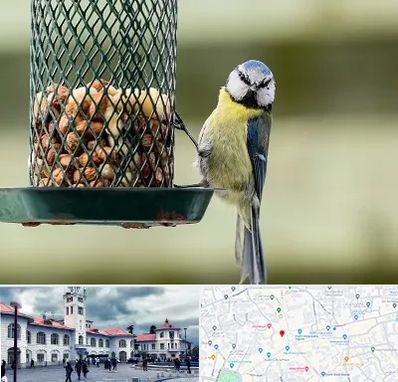 فروشگاه غذای پرندگان در میدان شهرداری رشت