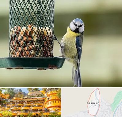 فروشگاه غذای پرندگان در دربند