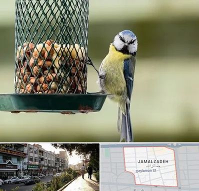 فروشگاه غذای پرندگان در خیابان جمالزاده