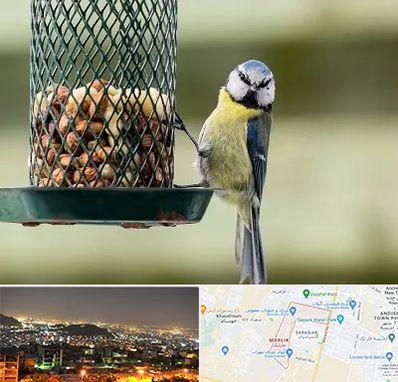 فروشگاه غذای پرندگان در مارلیک کرج