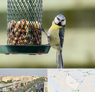 فروشگاه غذای پرندگان در کیانمهر کرج