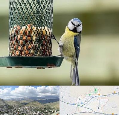 فروشگاه غذای پرندگان در رودهن