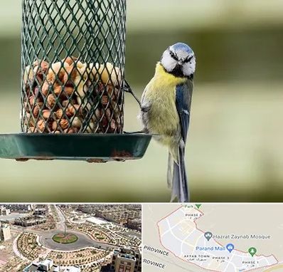 فروشگاه غذای پرندگان در پرند